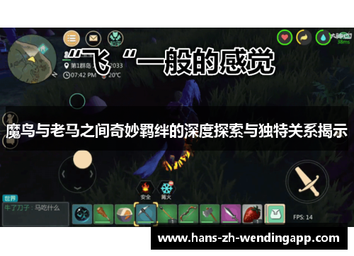 魔鸟与老马之间奇妙羁绊的深度探索与独特关系揭示